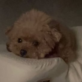 cozylcozyl2's profile picture. 선교류해주세요