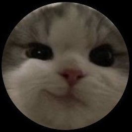 opheliavoyage's profile picture. Execution