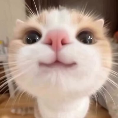 筋肉は正義さんのプロフィール画像