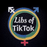 Libs of TikTok BR 🇧🇷 (@libsoftiktokbr) 's Twitter Profile Photo