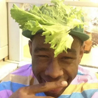 wolf from hit album wolf,not in character, i js tweet shit
i follow back
#TTCTWT
LLTC (@tylercest)🕊

Read expanded bio and strawpage