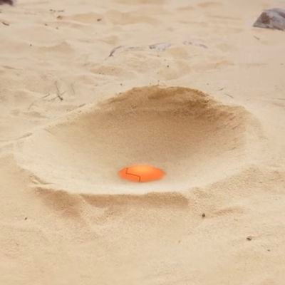 mahoutrapinch's profile picture. Trapinch | Pokemon TCG | MTG | she/her |

I really like ground dragons