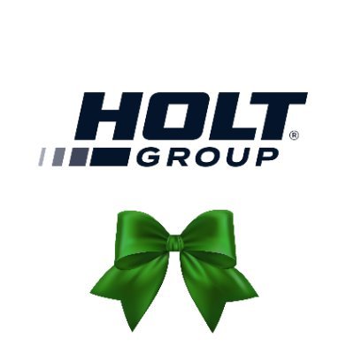 HOLT Group Profile