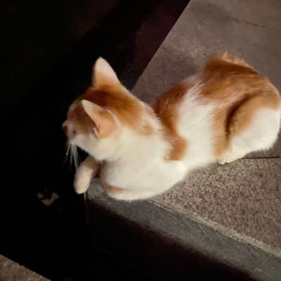 EthanLeung2023's profile picture. 