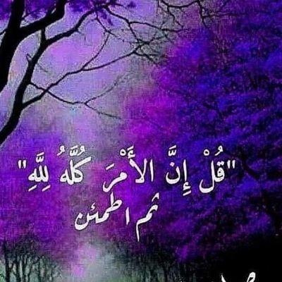 rfadalshqr's profile picture. ...