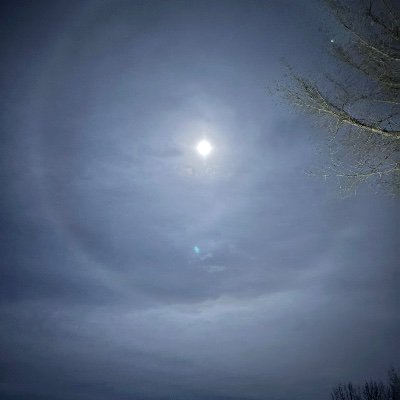 SchillingW51952's profile picture. 