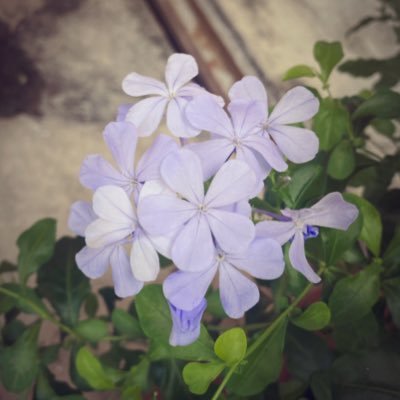 allabouthyyh's profile picture. rant