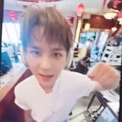 kunesong's profile picture. 🐻🐱🐥🦖🦄🐑