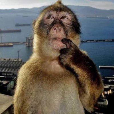 chris_westgarth's profile picture. 