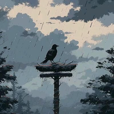 Mitraj394's profile picture. 