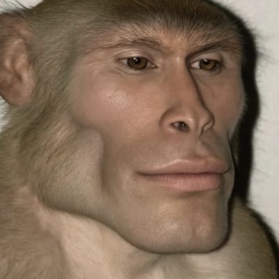 MemeSurge0n's profile picture. On-chain + narrative trader @Infantem_io