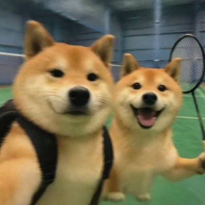 sui_xi77714's profile picture. 