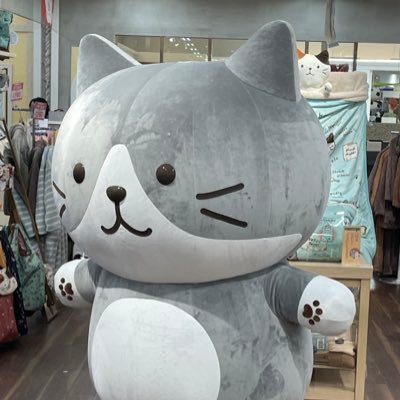 teru_rei's profile picture. 榛葉賀津也幹事長と玉木雄一郎推し