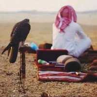 سعد البدوي (@albdwys67656) 's Twitter Profile Photo