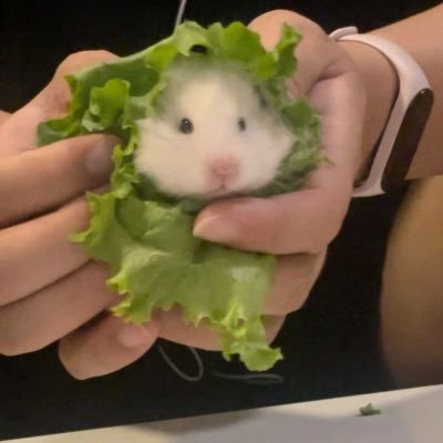 fff4ro's profile picture. slow