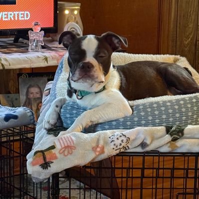 soaperhoward56's profile picture. 