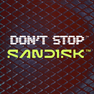 Sandisk Profile