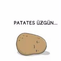 üzgün patates (@sad_p0tato) 's Twitter Profile
