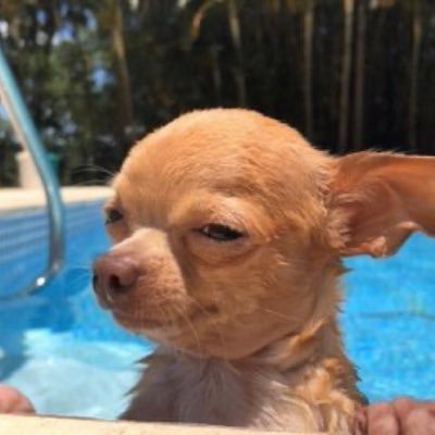 justshi__'s profile picture. rest in paradise grandpa and granny 💗twenty eight ✨