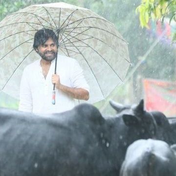 satyavasu2727's profile picture. chiranjeevi|pawan kalyan|ram Charan|
sanathana Dharamam