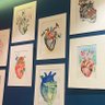 ghalbpezeshk's profile picture. cardiologist🫀/echo-woman #بدون_سهمیه #💍❤️📚