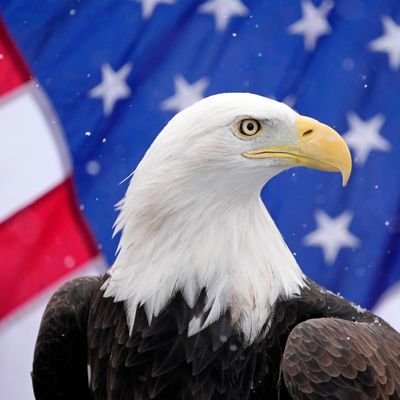 BillHillyFarmer's profile picture. Proud Conservative. God, Country and Family. 🇺🇸 Army Veteran 🇺🇸 MAGA