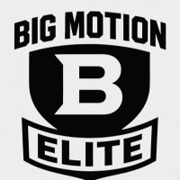 Big Motion Elite 7v7 (@bigmotion7v7) 's Twitter Profile