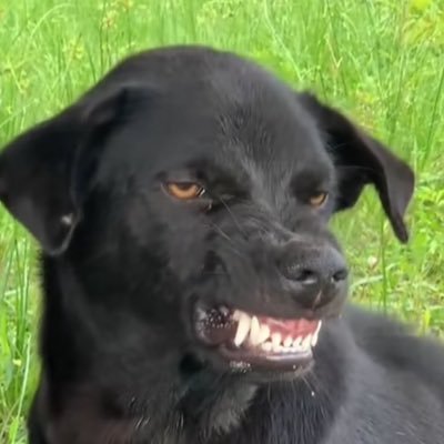 the30thoct's profile picture. 