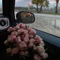 𝐵𝒶𝓎𝒶𝓃🌚 (@nddzy4lfq935974) Twitter profile photo