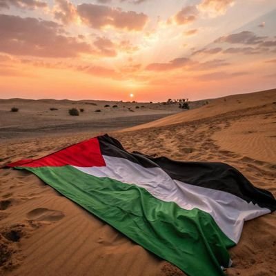 Sara_husain1's profile picture. عشتُ من الحروب أكثر مما عشتُ في سلام. من غزة، من تحت الركام، أحاول أتكلم..
ولسوف يعطيك ربك فترضى

#FreePalestine