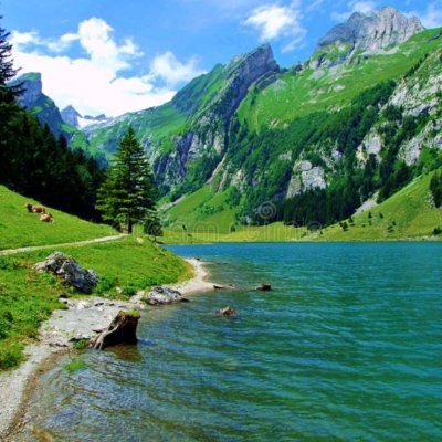 Smokweedevrd420's profile picture. 