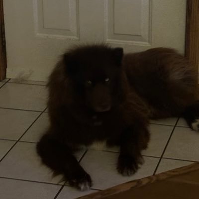 Augggieeee's profile picture. Auggie