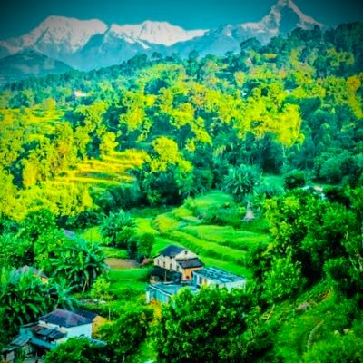 Laxmank01927953's profile picture. 