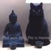 FeralCrone (@truthnpeace13) Twitter profile photo FeralCrone (@truthnpeace13) Twitter profile photo