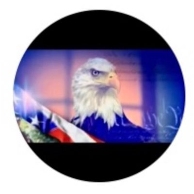 LTrueWest's profile picture. I Submit to We The People. I hold these truths to be self evident, Corruption & Crime evinces a narrative to Destroy We The People 🚫DM’s