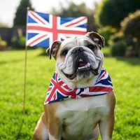 Stuey Beef 🇬🇧🏴 (@stuey_beef) 's Twitter Profile