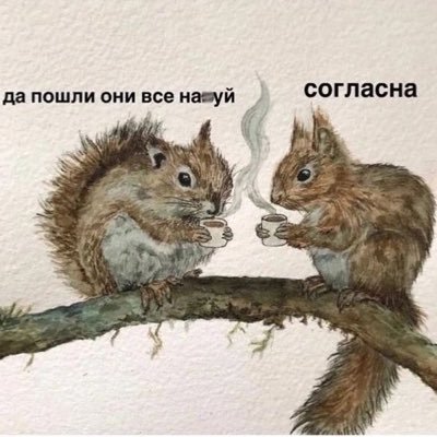 жопастый героин