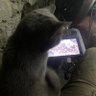 gunner_ike's profile picture. カナダ軍とウクライナ軍の従軍経験がある日系カナダ人。 ウクライナ戦争では2年間戦い、最終的にはドローンチームの隊長として務めていました。
