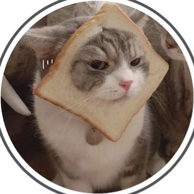 miniso_24's profile picture. Support Engfa🦊Charlotte 🐰|#Engfawaraha👑#Charlotte🤍