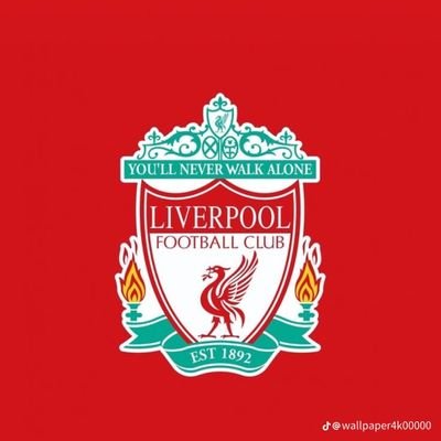 BhadBoiMST223's profile picture. You never walk alone