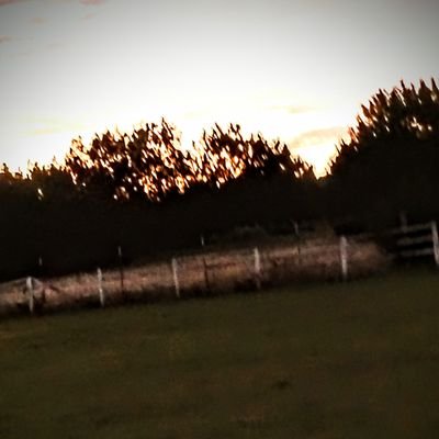 BeeJayyyLol's profile picture. im terrible