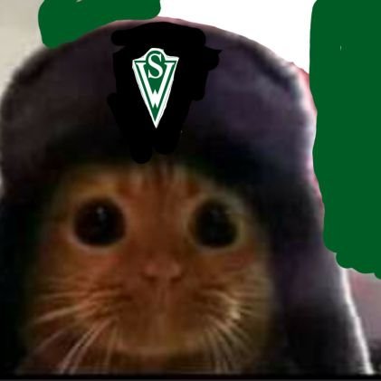 🇳🇬Hincha del decano del futbol chileno y CEO de DIDICORP®