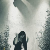 victoria (@arangoviccc) 's Twitter Profile