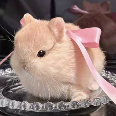 meddyさんのプロフィール画像