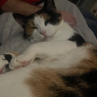 mmonaa79's profile picture. uczulona na głupotę i bylejakość. #TrzaskowskiTeam