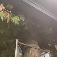 Volkan Güler (@brneyrd) Twitter profile photo