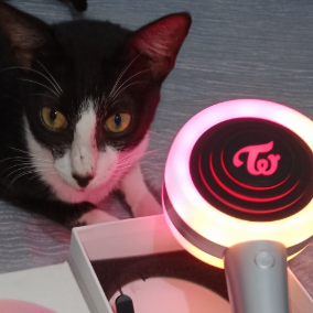 (She/Ella) Jugando Granjitas, matando Monstros y acariciando Gatitos & Telaraña ❤️ Intentando MUY MUY fuerte no morirme welp ✨ 💙🦀