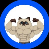 $GigMig (@realgigmig) 's Twitter Profile