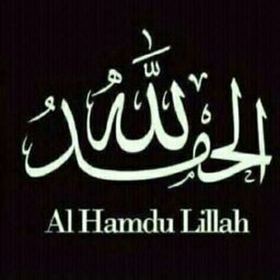 HamedIbrah79115's profile picture. 