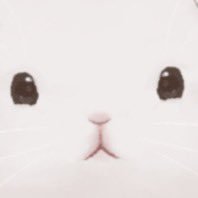 【Twitchで活動中！】闘病中の人生RTA系うさぎVです🐰
似顔絵⇛ #なないろうさぎ コラ画像⇛ #うさぎはそえるだけ
最近はWOTにおねつ。クランも細々やってます🐰🥕